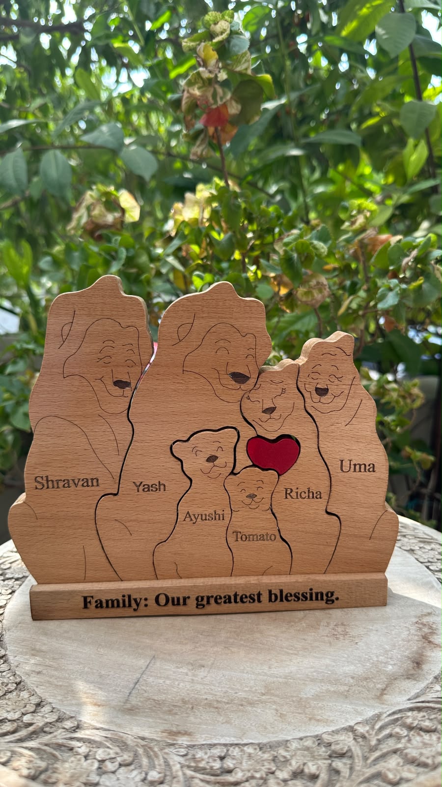 Grandparents, Parents and 2 Kids